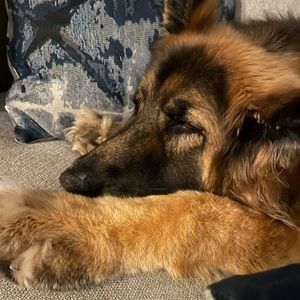 Meet your Posher, Jane